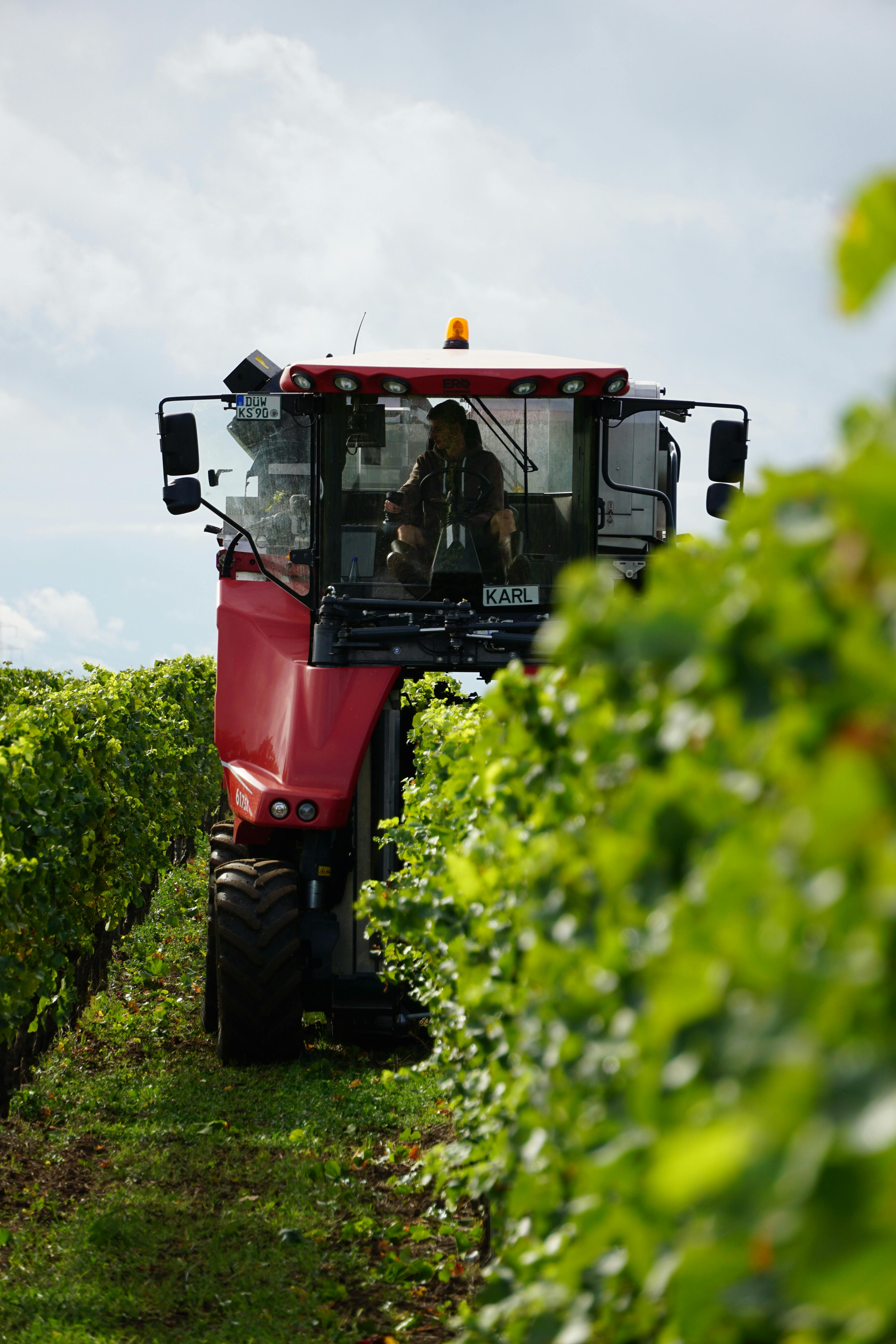 Прикачен гроздокомбайн BARGAM V-TRAIN 35