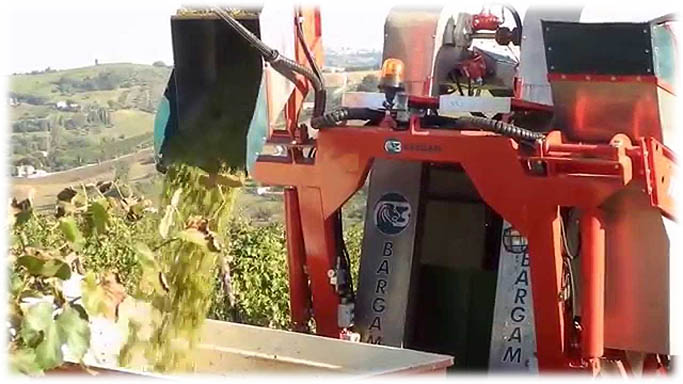 Прикачен гроздокомбайн BARGAM V-TRAIN 35