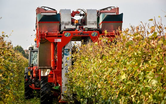 Прикачен гроздокомбайн BARGAM V-TRAIN 35